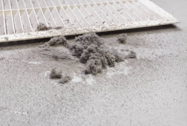Best Air Duct Inspection  in Kingston, OK