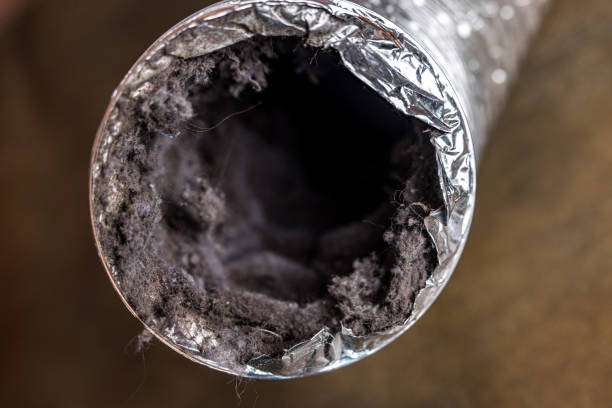 Best Ductwork Cleaning Services  in Kingston, OK